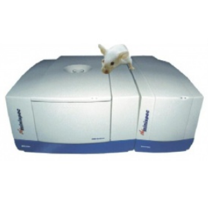 德國(guó)Bruker LF50小動(dòng)物身體組分分析儀