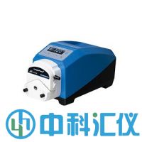 G300-2J工業(yè)蠕動(dòng)泵