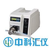 WT3000-1Jb基本型微型齒輪泵