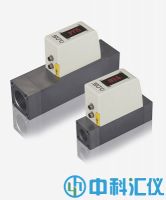 德國(guó)希爾思SUTO S418-V緊湊型真空流量計(jì)